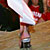 Miss Hawaiian Tropic March 5th 2003 photo - Duval Street, Key West